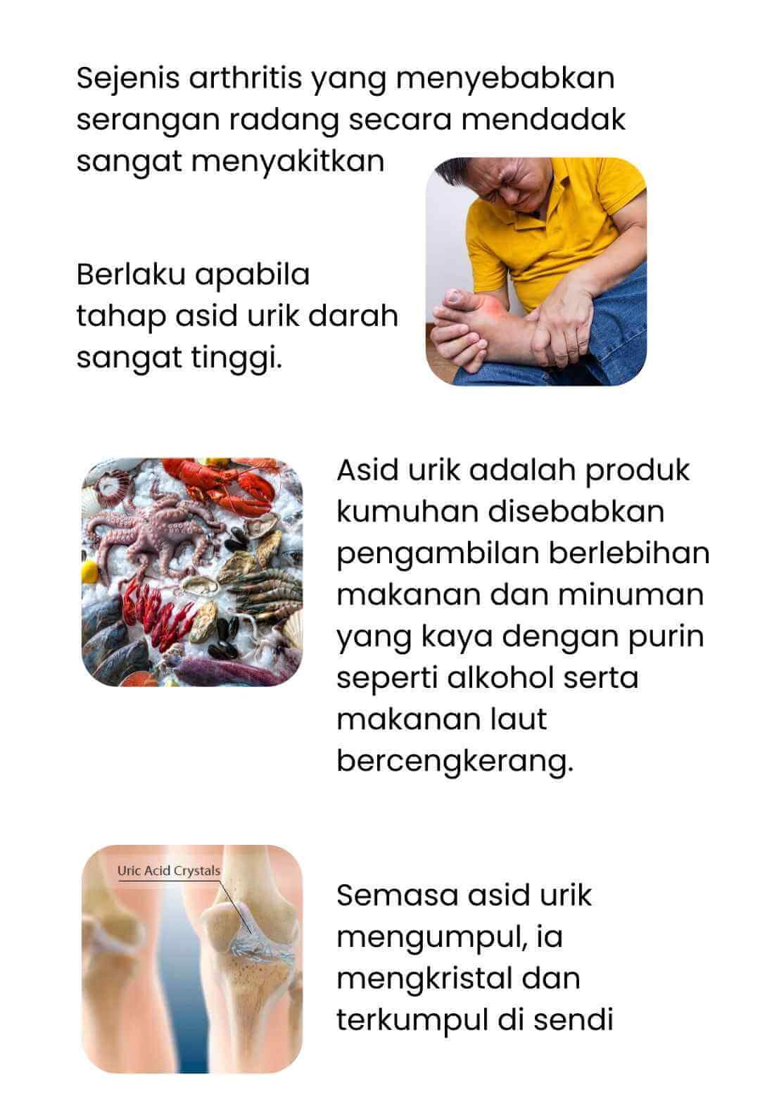 Gout adalah sejenis penyakit disebabkan berlebihan asid urik di dalam badan. (1)